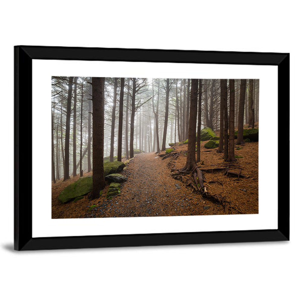 Misty Appalachian Trail Path Wall Art
