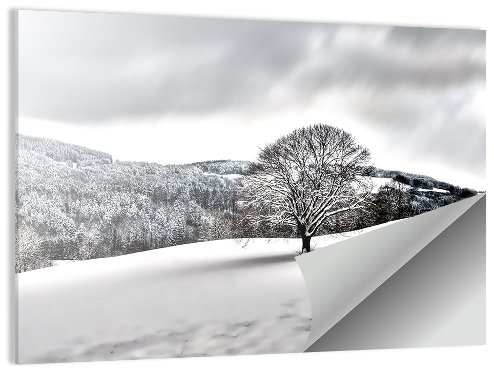 Solitary Snowy Tree Landscape Wall Art