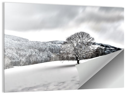 Solitary Snowy Tree Landscape Wall Art