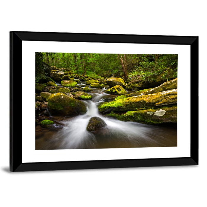 Mossy Forest Stream Wall Art as a framed print
