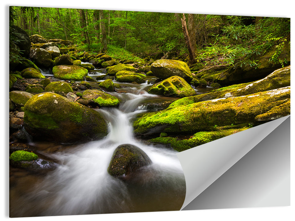 Mossy Forest Stream Wall Art