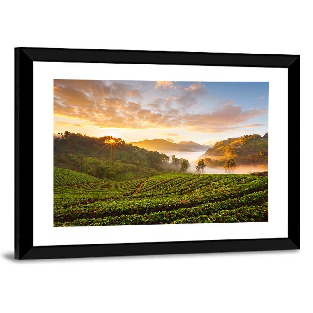 Strawberry Fields Sunrise Wall Art