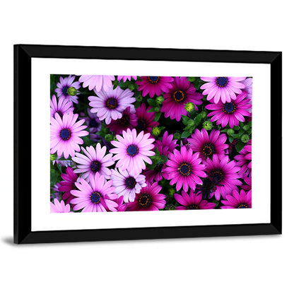 Pink and Purple Daisies Wall Art