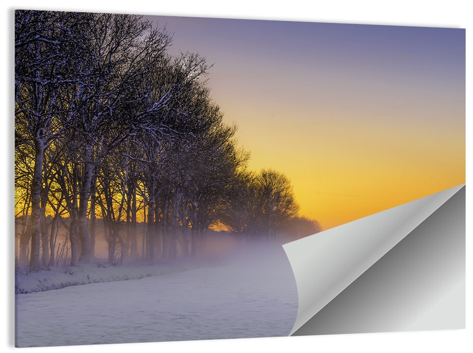 Winter Fog at Sunset Wall Art