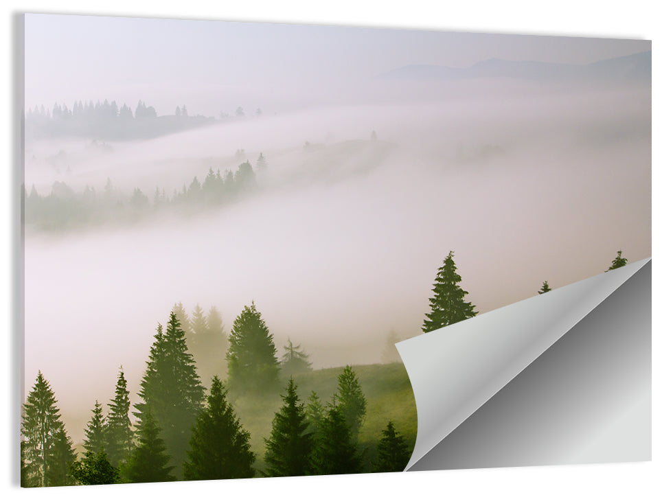 Foggy Summer Landscape Wall Art