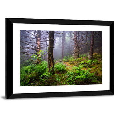 Misty Spruce-fir Trail Wall Art