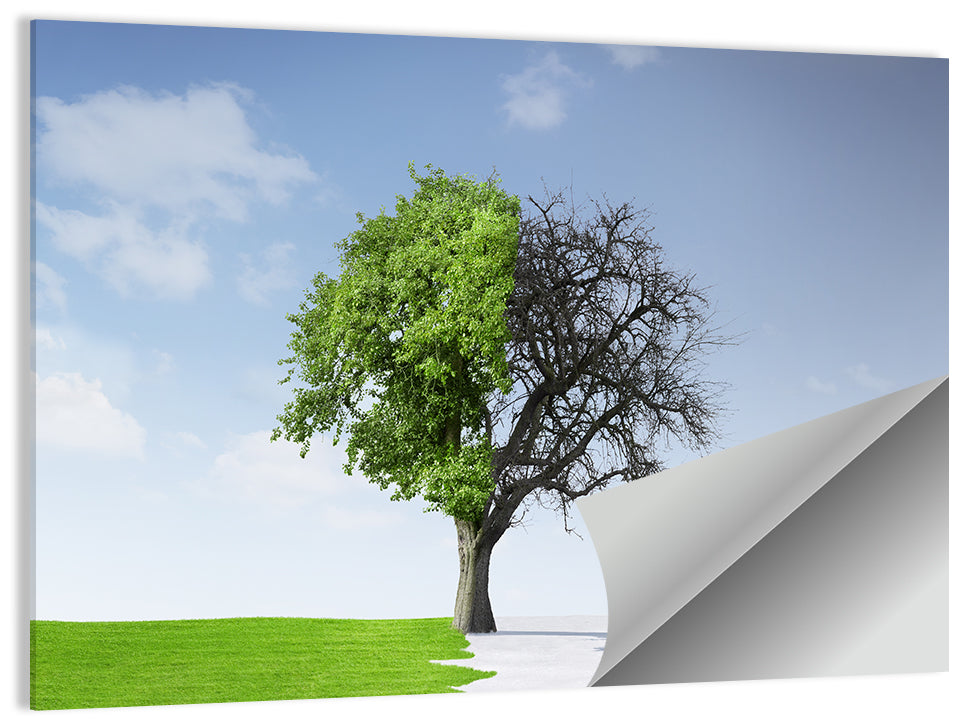 Split Seasons Tree Wall Art