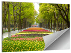 Tree-lined Tulip Garden Path Wall Art