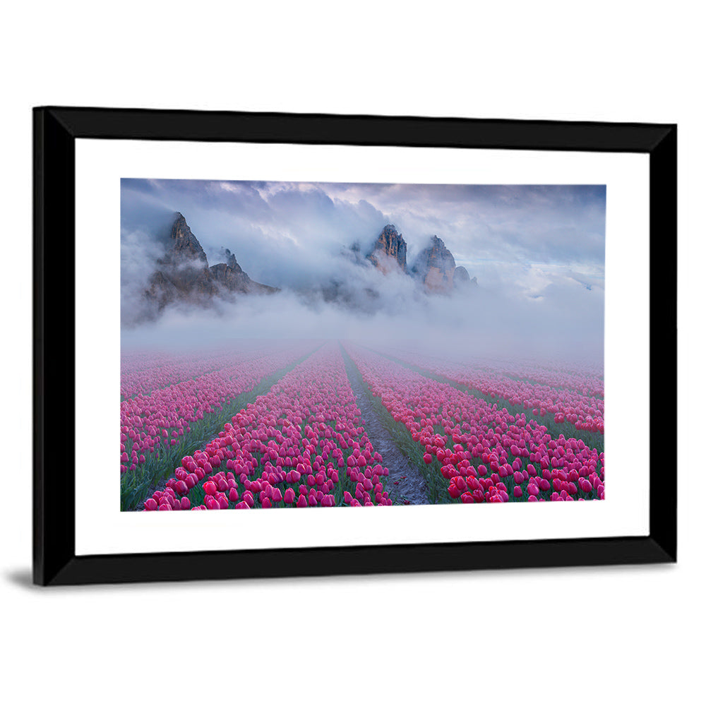 Misty Pink Tulip Field Wall Art