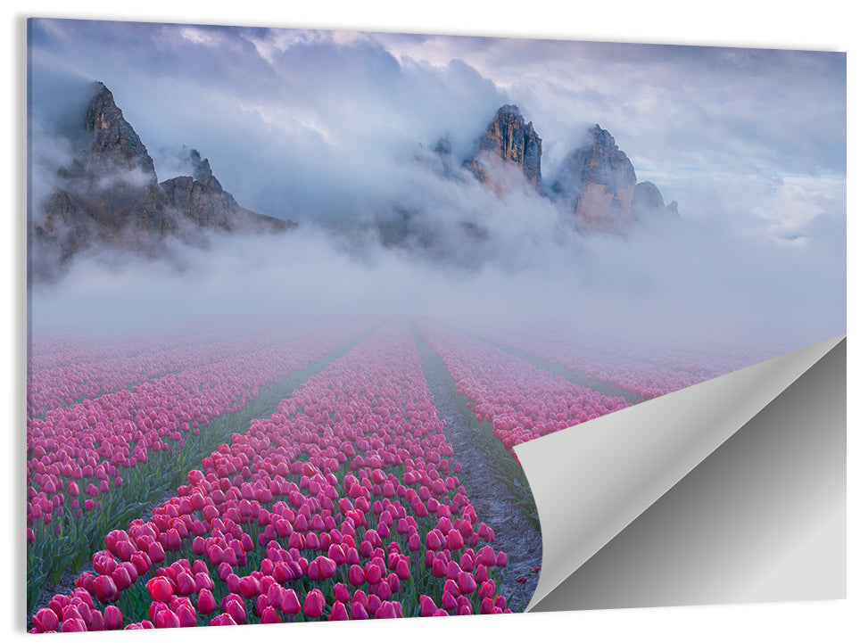 Misty Pink Tulip Field Wall Art
