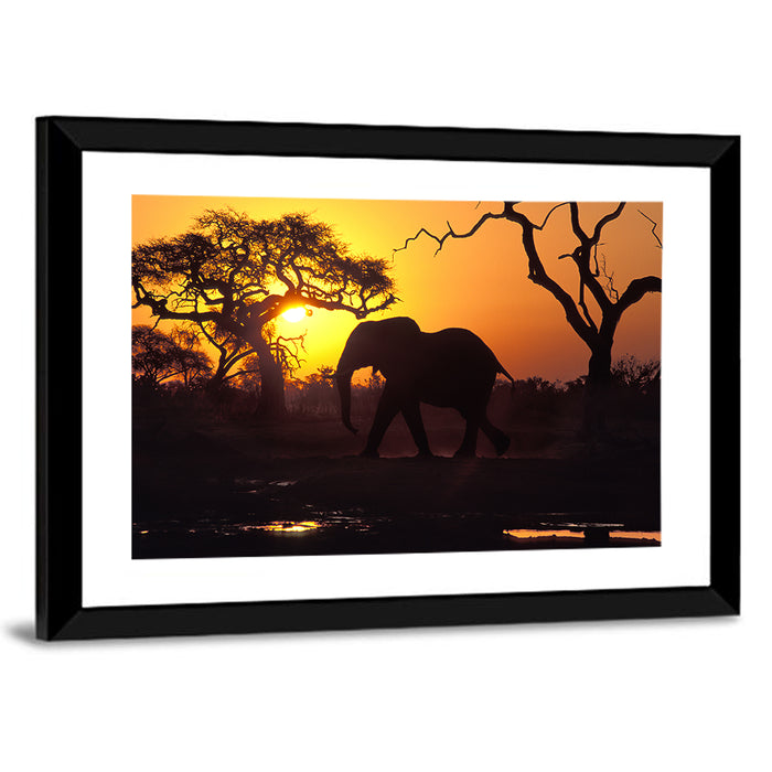 Elephant at Sunset Wall Art as a framed print