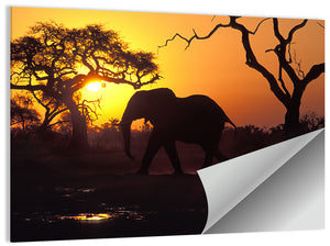 Elephant at Sunset Wall Art