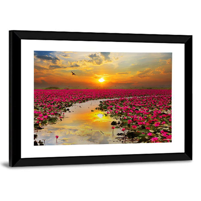 Golden Hour Lotus Field Wall Art as a framed print