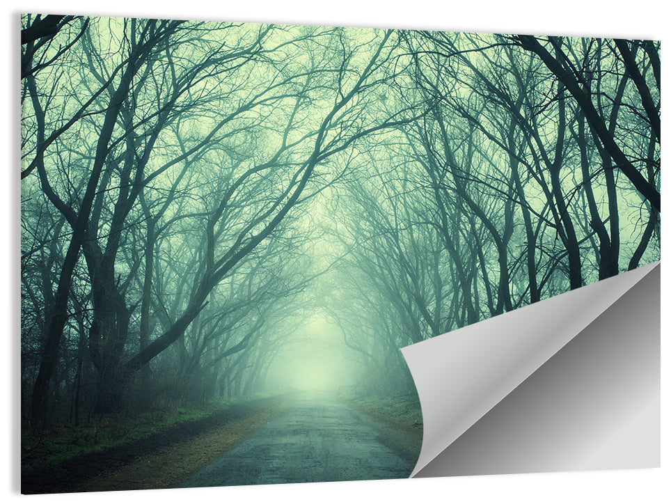 Foggy Forest Pathway Wall Art
