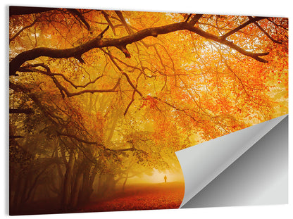 Autumn Forest Path with Lone Figure Wall Art