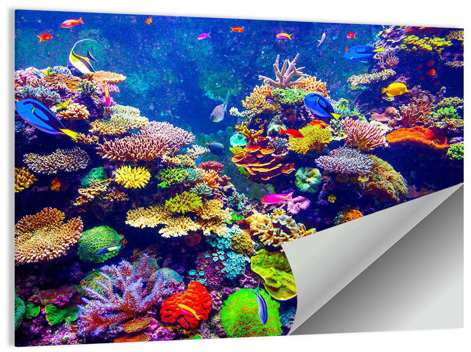Tropical Coral Reef Aquarium Wall Art