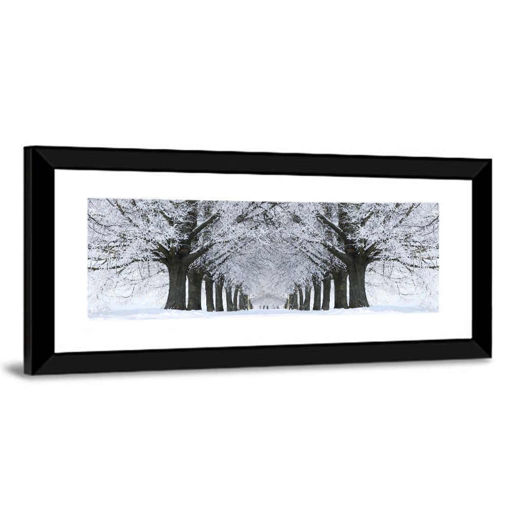 Snow-covered Tree Alley Wall Art
