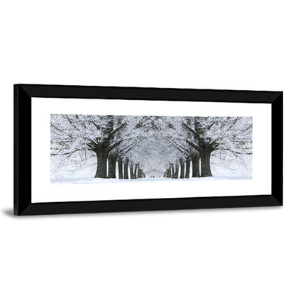 Snow-covered Tree Alley Wall Art