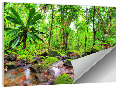 Mossy Rainforest Stream Wall Art