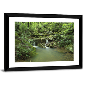 Arkansas Forest Stream Wall Art