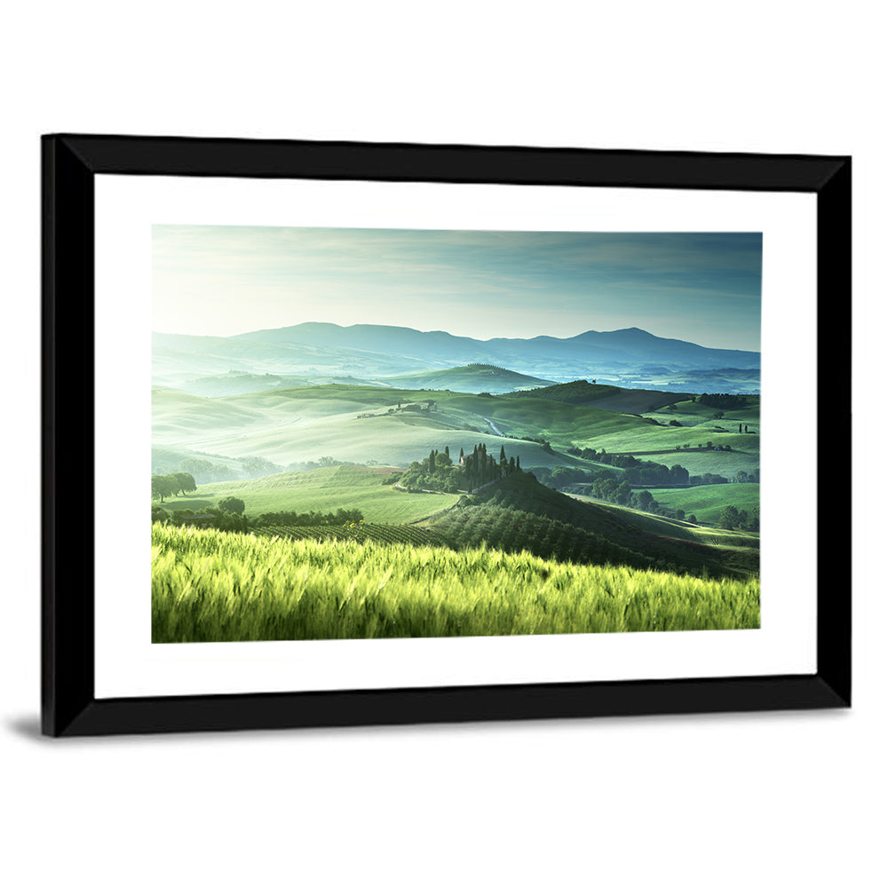 Misty Rolling Hills with Cypresses Wall Art