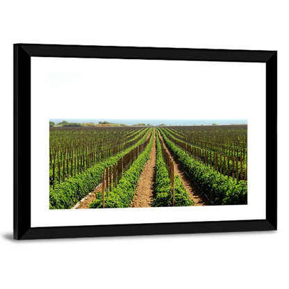 Tomato Fields Wall Art