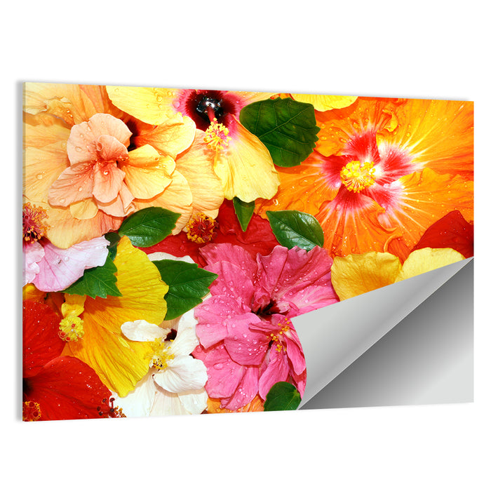 Vibrant Hibiscus Close-up Wall Art as a poster print