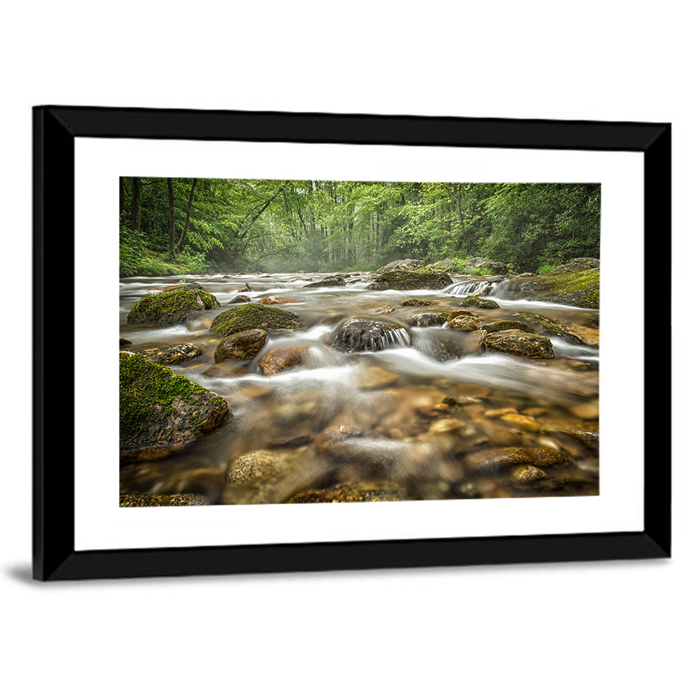 Forest Creek, North Carolina Wall Art