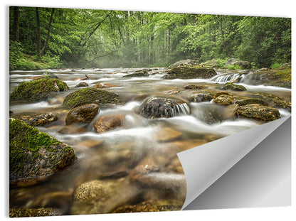 Forest Creek, North Carolina Wall Art
