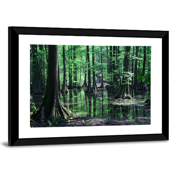 Congaree Swamp Reflection Wall Art as a framed print