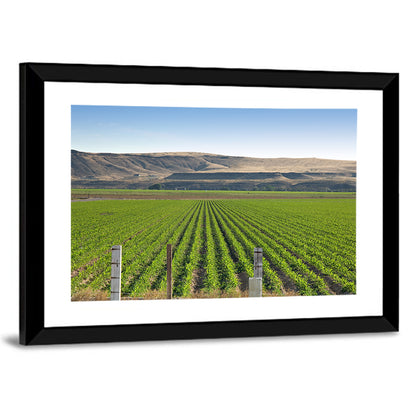 Idaho Corn Field Wall Art