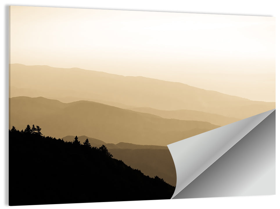 Foggy Mountain Sunset with Evergreen Silhouettes Wall Art
