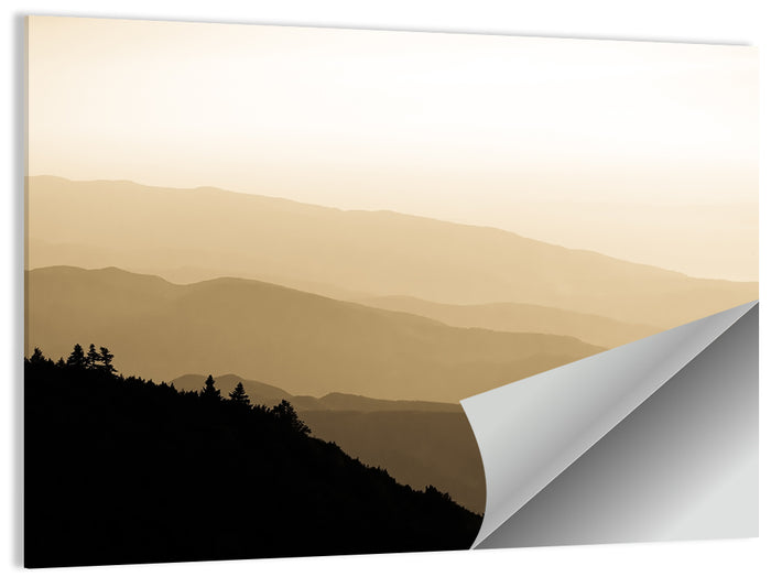 Foggy Mountain Sunset with Evergreen Silhouettes Wall Art as a poster print