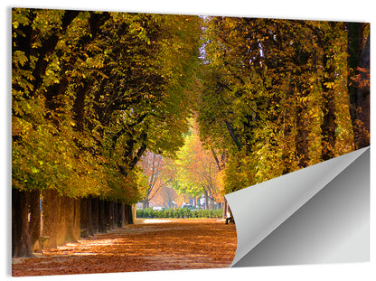 Golden Hour Autumn Path Wall Art