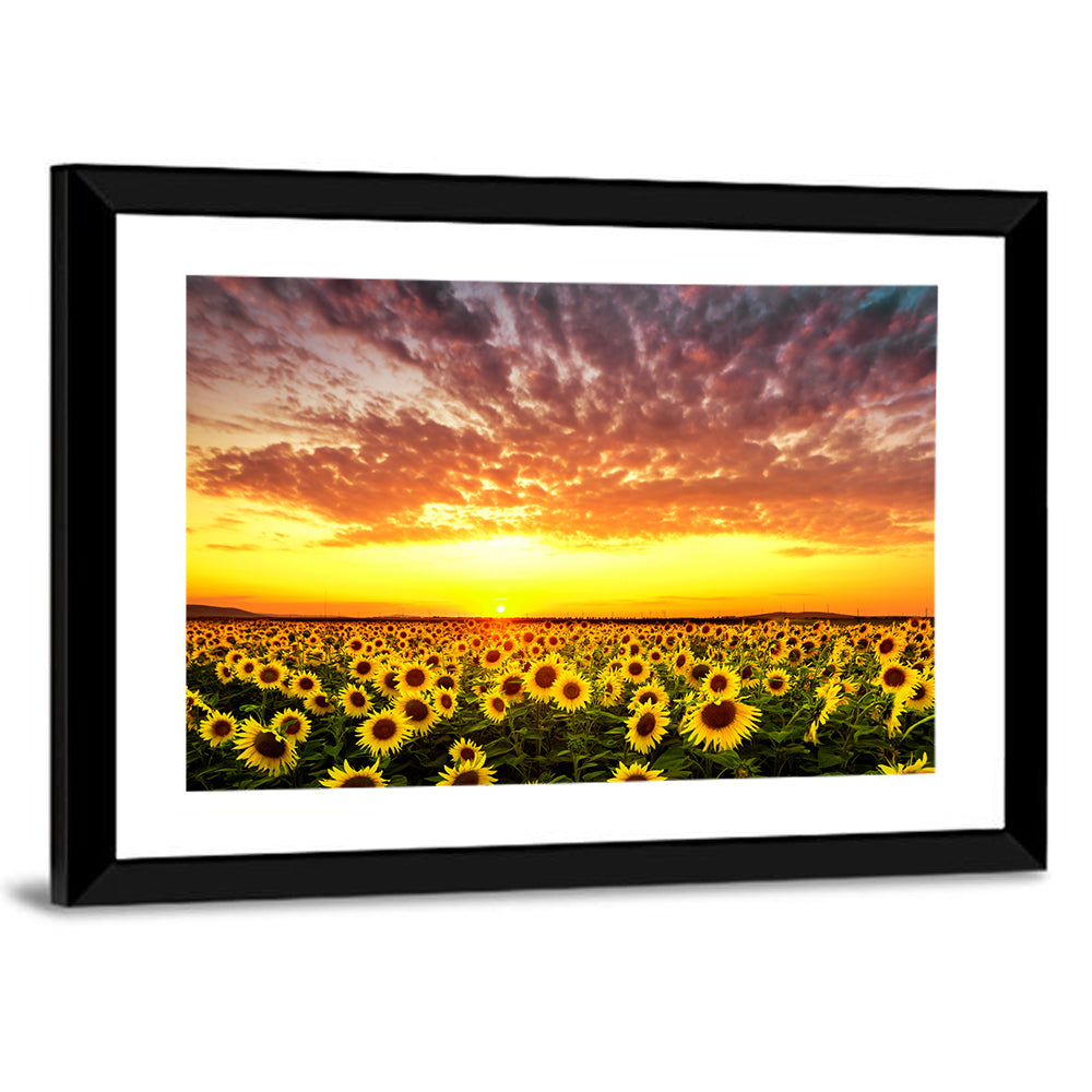 Sunflower Field Sunset Wall Art