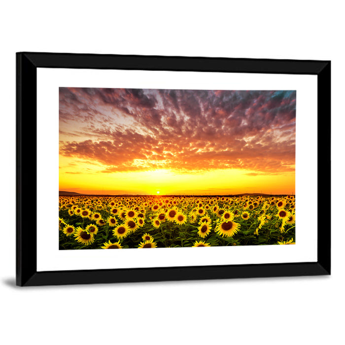 Golden Hour Sunflower Field Wall Art as a framed print