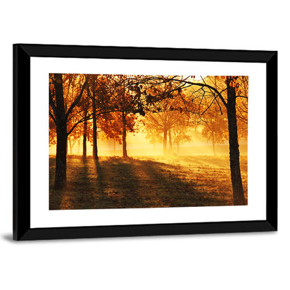 Autumn Sunbeams Through Fog Wall Art