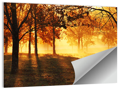 Autumn Sunbeams Through Fog Wall Art