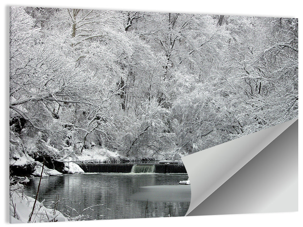 Fairmount Park Winter Spillway Wall Art