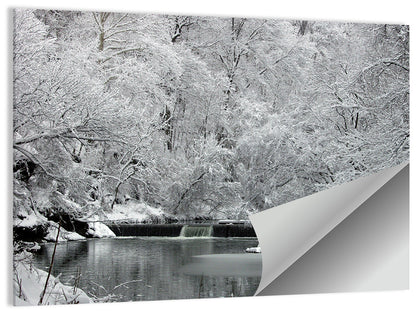 Fairmount Park Winter Spillway Wall Art