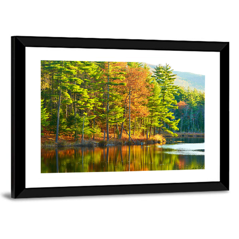 White Mountain National Forest Reflection Wall Art