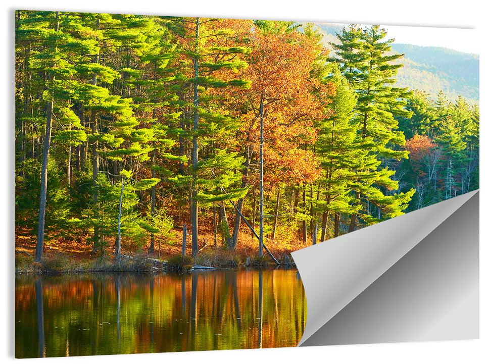 White Mountain National Forest Reflection Wall Art