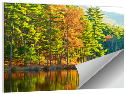 White Mountain National Forest Reflection Wall Art