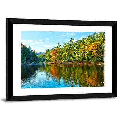 White Mountain Forest Reflections Wall Art