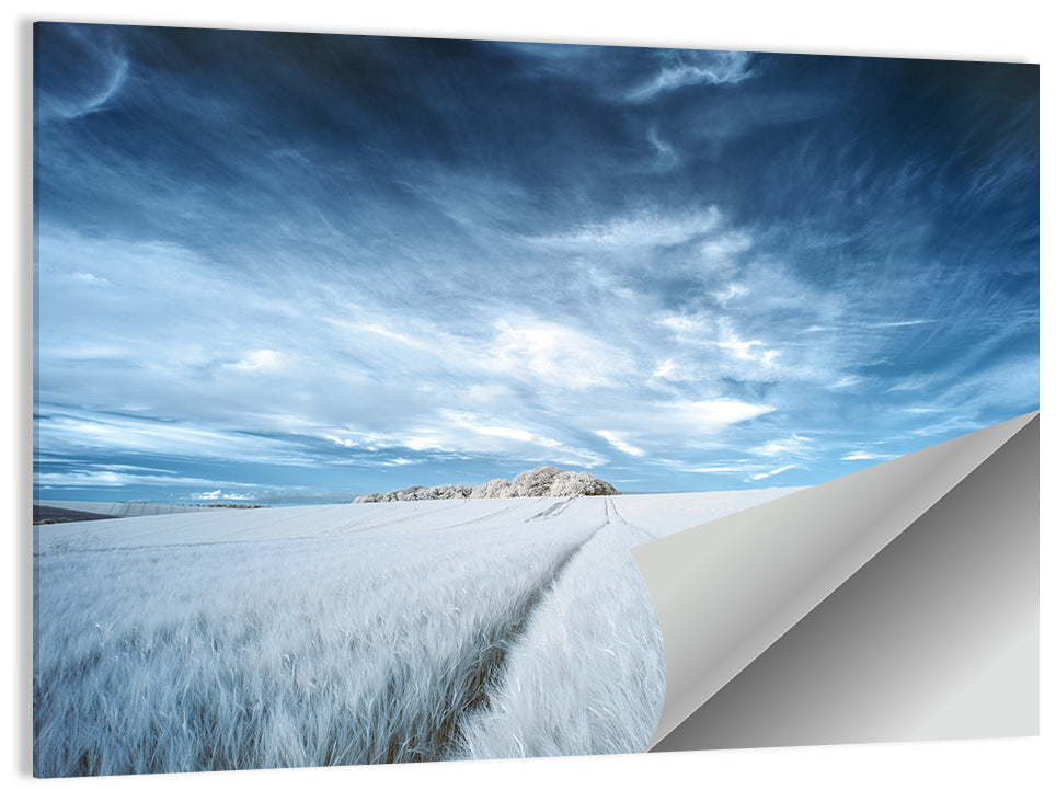Surreal Infrared Grain Field Wall Art