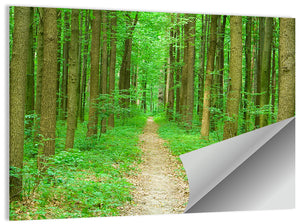 Green Forest Pathway Wall Art