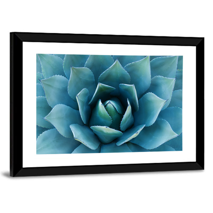 Spiral Agave Macro Wall Art as a framed print