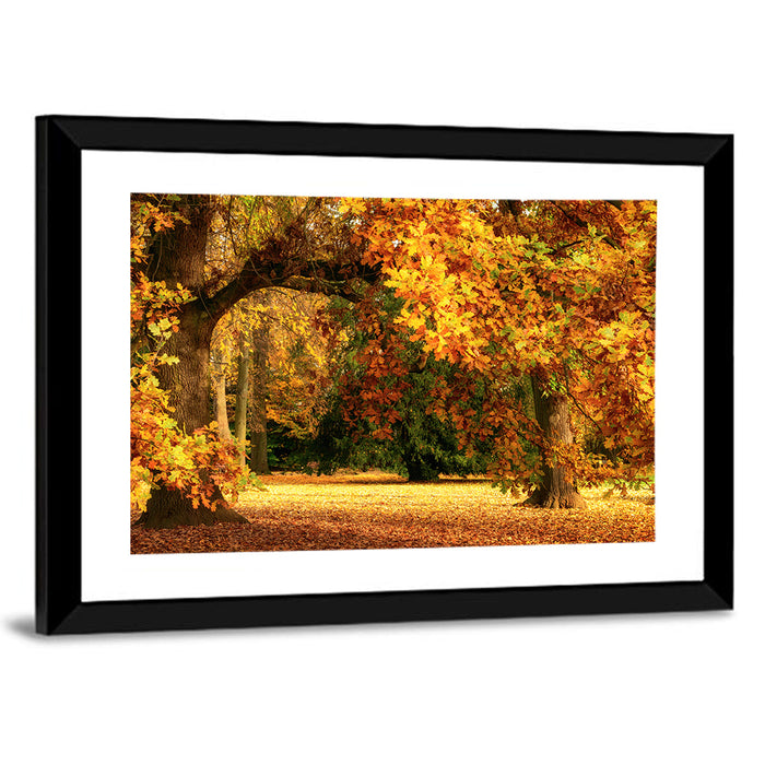 Autumn Park Oaks Wall Art as a framed print