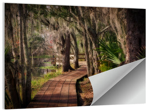 Louisiana Swamp Boardwalk Wall Art