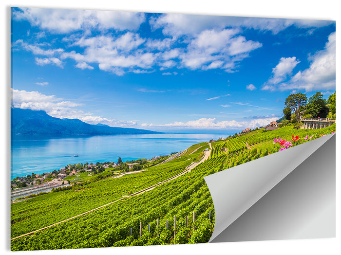 Lavaux Wine Region Wall Art as a poster print